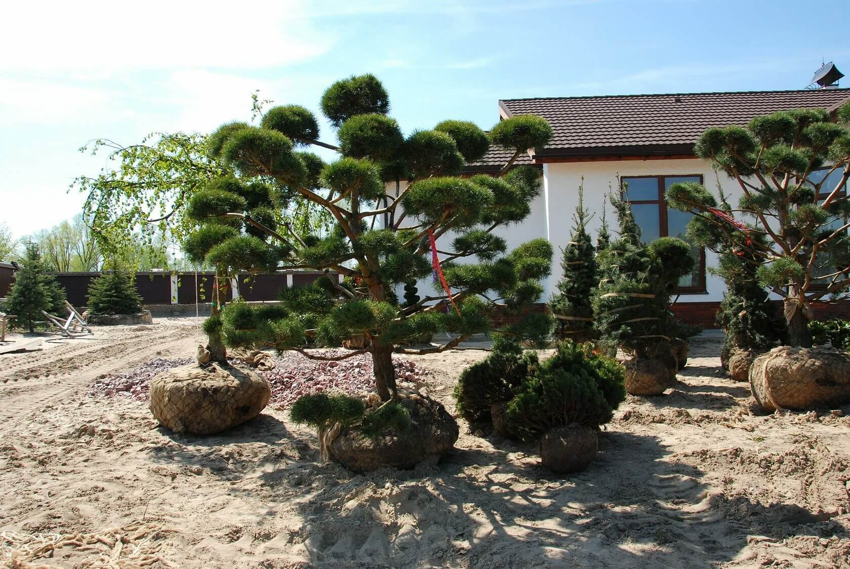 Экзотические крупномеры